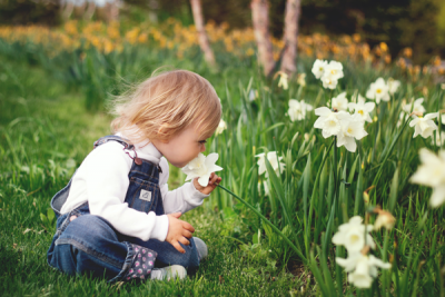 Transforming Your Outdoor Spaces with Lawn and Garden Products  Introduction